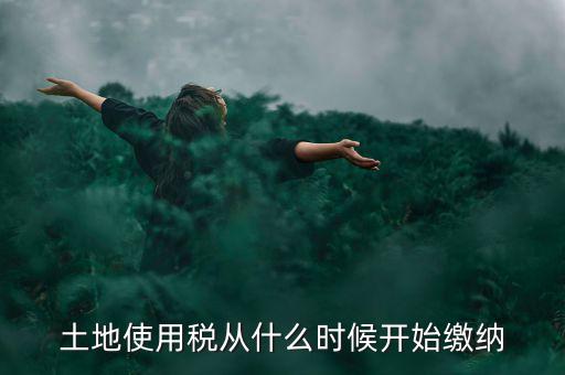 城鎮(zhèn)土地使用稅什么時候交，房地產(chǎn)開發(fā)企業(yè)繳納城鎮(zhèn)土地使用稅的時間是多久