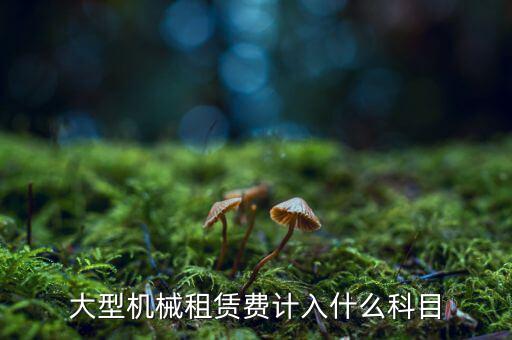 大型機(jī)械租賃費(fèi)計入什么科目