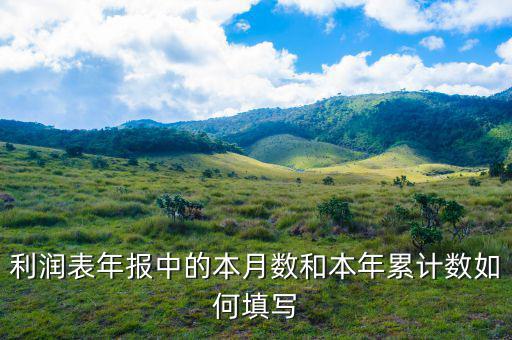 年報利潤表根據(jù)什么填寫，利潤表年報中的本月數(shù)和本年累計數(shù)如何填寫