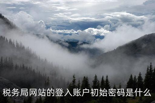 廣東國稅網(wǎng)登錄密碼是什么意思，稅務(wù)局網(wǎng)站的登入賬戶初始密碼是什么