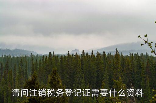 請(qǐng)問注銷稅務(wù)登記證需要什么資料