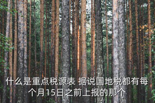 稅源監(jiān)控表是什么，股東股權(quán)變更稅源監(jiān)控登記表怎么填寫