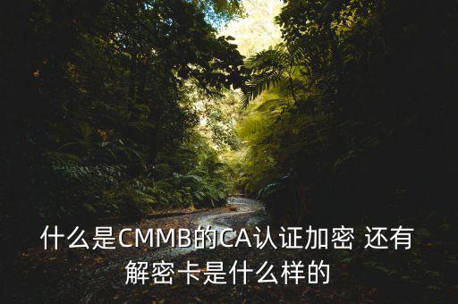 東莞ca證書密碼是什么意思，機(jī)構(gòu)代碼的ca證書的PIN碼是什么我用CA證書登陸國(guó)稅時(shí)提示詳細(xì)