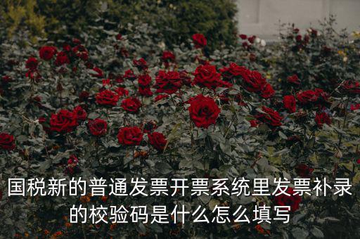 國稅新的普通發(fā)票開票系統里發(fā)票補錄的校驗碼是什么怎么填寫