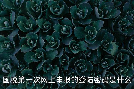 國稅第一次網(wǎng)上申報(bào)的登陸密碼是什么