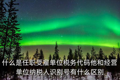 報稅自然人識別號是什么，個稅申報顯示存在相同唯一識別號是什么意思