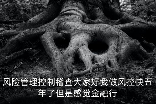 稽查風險管控是什么意思，股票中1風險提示 違規(guī)稽查是什么意思