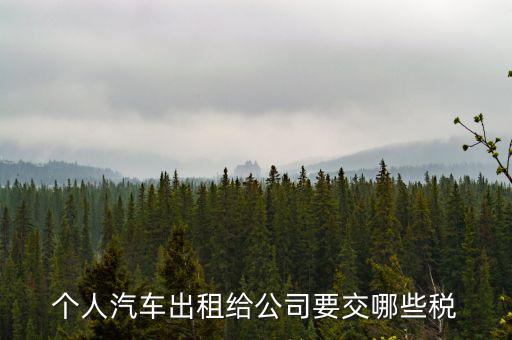 車輛租賃交什么稅，轎車租賃需繳納多少稅控