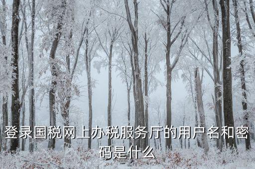 什么是電子稅務局登錄賬號，登錄國稅網上辦稅服務廳的用戶名和密碼是什么