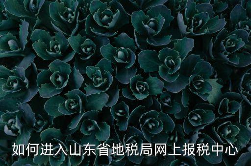 山東地稅密碼是什么，我在山東地稅網(wǎng)上報(bào)稅密碼怎么查