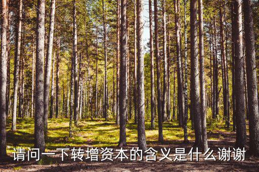什么是利潤(rùn)轉(zhuǎn)增資，什么叫轉(zhuǎn)增資本通俗一點(diǎn)越白話越好