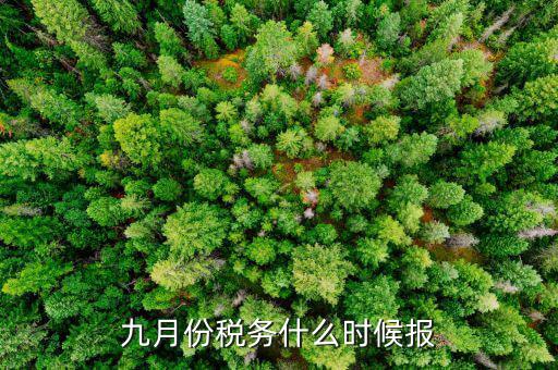 2017年9月份的稅什么報完，誰知道今年9月的個人所得稅怎么報怎么來計算的