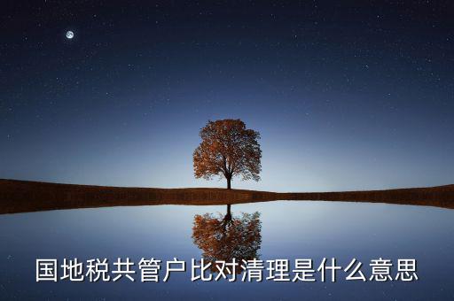 什么是國地稅共管，國稅地稅共管公司都需要每個月報(bào)稅嗎意思就是說我每個月地稅
