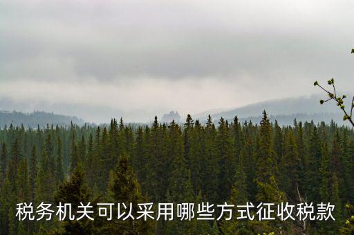 稅務局按什么征收稅務，稅務機關可以采用哪些方式征收稅款