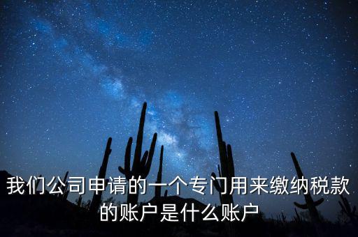 我們公司申請(qǐng)的一個(gè)專(zhuān)門(mén)用來(lái)繳納稅款的賬戶(hù)是什么賬戶(hù)