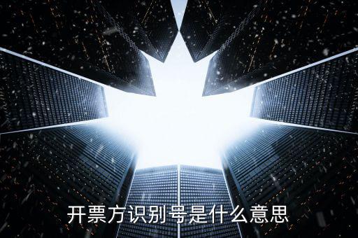 開票方識(shí)別號(hào)是什么意思