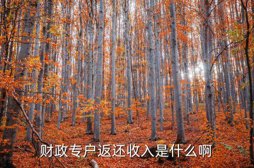 財(cái)政專戶返還收入是什么啊
