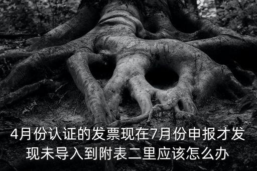 國稅已申報(bào)未導(dǎo)入是什么意思，小姑規(guī)模納稅人申報(bào)后出現(xiàn)已申報(bào)等待導(dǎo)入是什么意思