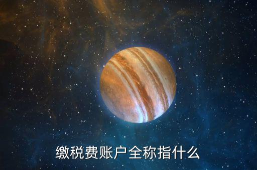 繳稅費(fèi)賬戶(hù)全稱(chēng)指什么