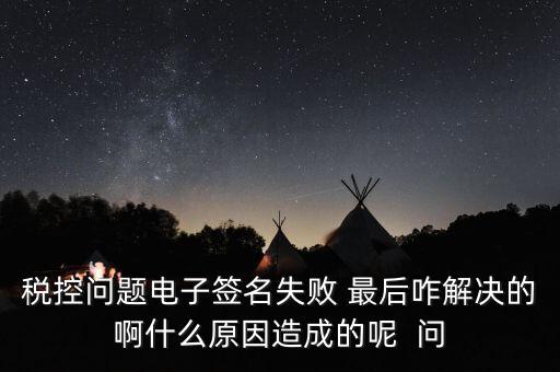 什么是稅控簽名，報(bào)稅時(shí)數(shù)字簽名是甚么意思