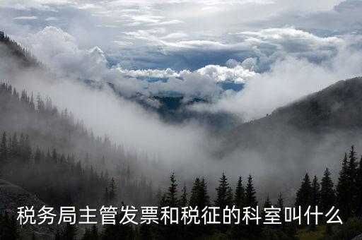 國稅稅務(wù)局都有什么科，稅務(wù)局主管發(fā)票和稅征的科室叫什么