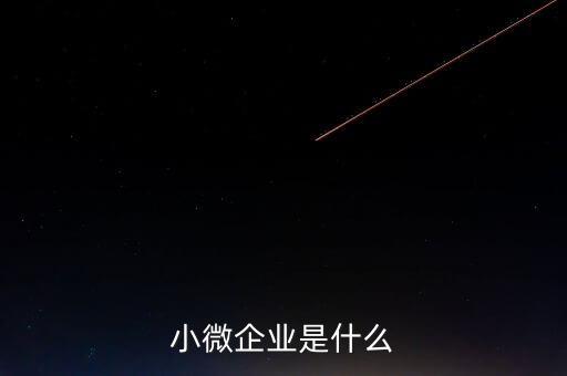 小微企業(yè)包括什么，小微企業(yè)是什么