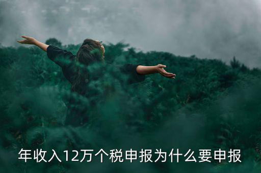為什么12萬個稅申報(bào)表，12萬以上個人所得稅申報(bào)是什么意思