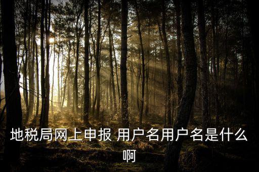 地稅局網(wǎng)上申報(bào) 用戶(hù)名用戶(hù)名是什么啊