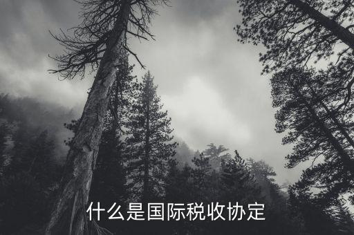 稅收協(xié)定183天什么意思，183天需要代扣代繳個(gè)人所得稅嗎
