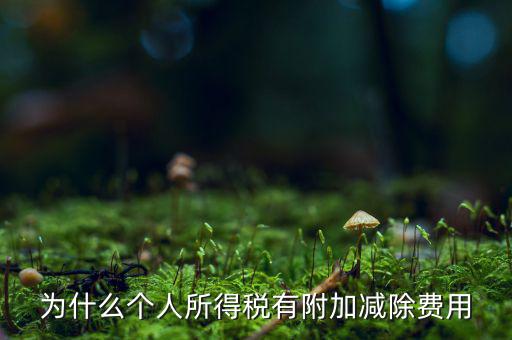 個稅減除費用是什么，個人所得稅費用扣除什么意思