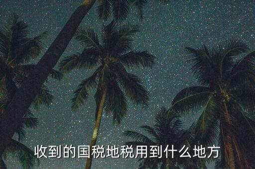 收到的國(guó)稅地稅用到什么地方