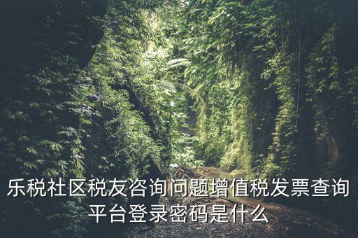 發(fā)票認證平臺登陸密碼是什么，國稅局發(fā)票軟件里用戶代碼和密碼是什么