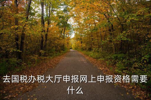 國(guó)稅網(wǎng)上申報(bào)用什么資料，去國(guó)稅辦稅大廳申報(bào)網(wǎng)上申報(bào)資格需要什么