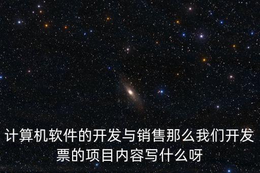 計(jì)算機(jī)軟件的開(kāi)發(fā)與銷售那么我們開(kāi)發(fā)票的項(xiàng)目?jī)?nèi)容寫什么呀