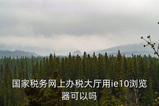 國(guó)稅網(wǎng)上申報(bào)用什么瀏覽器，山東國(guó)稅網(wǎng)上申報(bào)系統(tǒng)需要什么瀏覽器