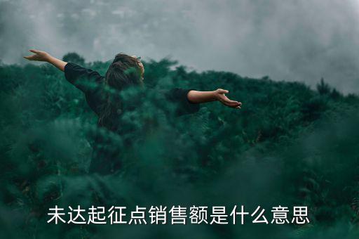 未達起征點通知書什么意思，打印稅務事項通知書未達起征點通知需要什么材料