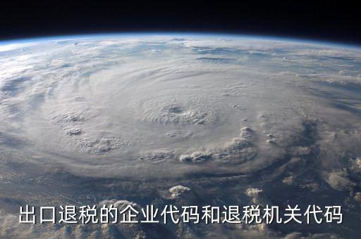 出口退稅的企業(yè)代碼和退稅機關代碼