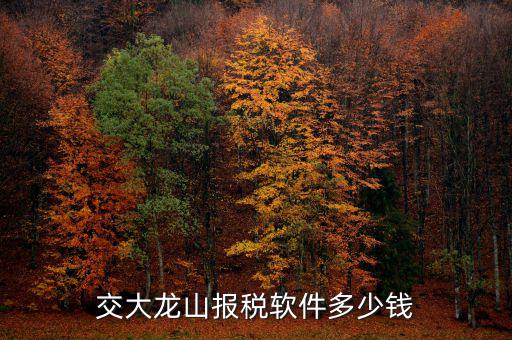 交大龍山軟件是什么，新疆交大龍山軟件在哪里下載