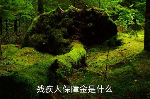 什么叫殘疾人就業(yè)保障金，殘疾人就業(yè)保障金
