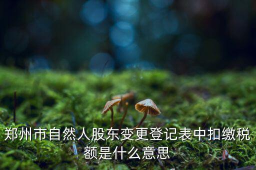 扣繳稅款登記是什么意思，應(yīng)當(dāng)按照稅收征管法等有關(guān)規(guī)定辦理扣繳稅款登記領(lǐng)取扣繳憑