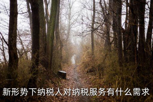 納稅服務(wù)的要求是什么，新形勢下納稅人對納稅服務(wù)有什么需求