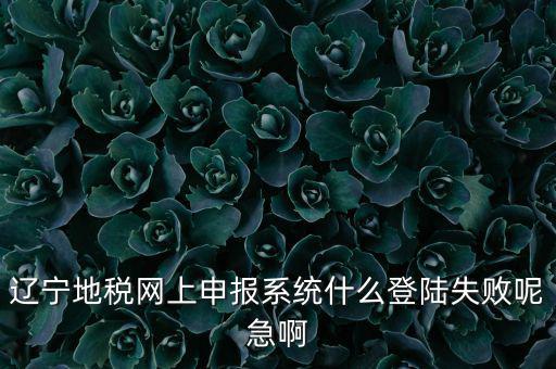 遼寧網(wǎng)上報稅為什么進不去，遼寧地稅網(wǎng)上申報系統(tǒng)什么登陸失敗呢急啊