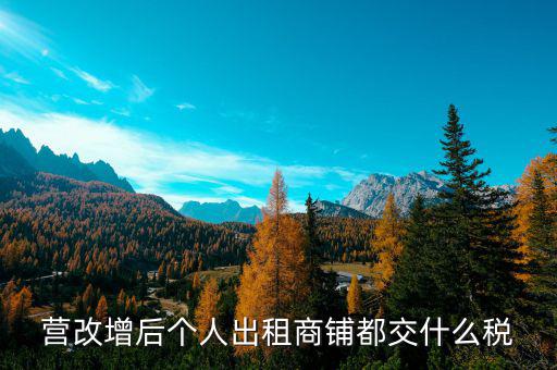 個(gè)人出租商鋪交什么稅，個(gè)人出租商鋪需要繳納什么稅