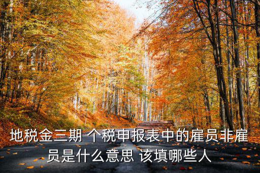 金稅四期是什么意思，地稅金三期 個稅申報表中的雇員非雇員是什么意思 該填哪些人