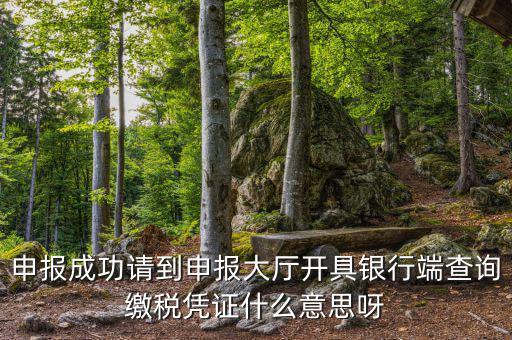 申報(bào)成功請(qǐng)到申報(bào)大廳開具銀行端查詢繳稅憑證什么意思呀