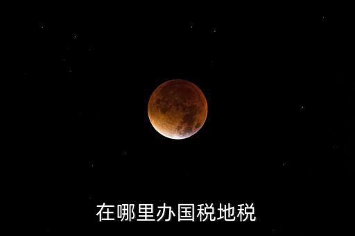 什么在地稅辦，在哪里辦國(guó)稅地稅