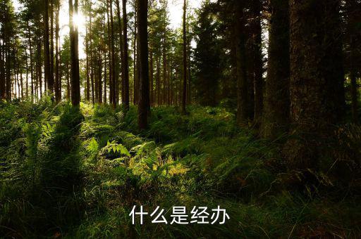 稅務(wù)文書經(jīng)辦是什么意思，什么是經(jīng)辦