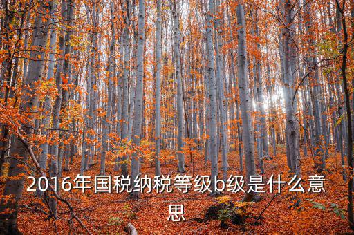 納稅信用等級評 什么用，企業(yè)納稅信用等級有何用處