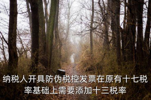 金稅卡加稅率有什么，金稅盤稅額問題