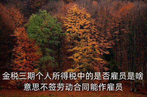 金稅非雇員什么意思，地稅金三期 個稅申報表中的雇員非雇員是什么意思 該填哪些人